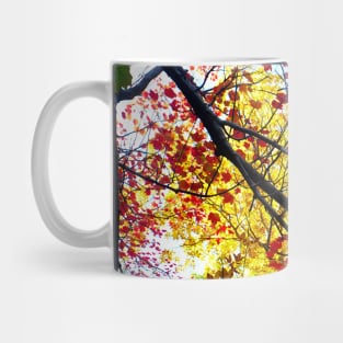 Autumn Leaves at Walden Pond Mug